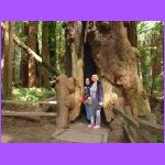 Gail and Cheryle Inside Tree.jpg